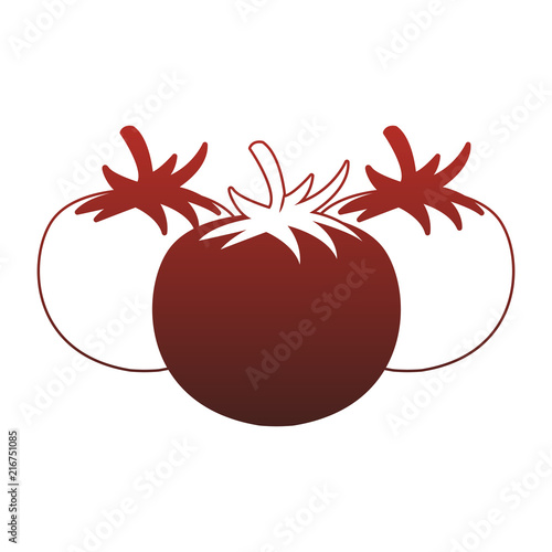 Tomatos fresh vegetables vector illustration graphic design