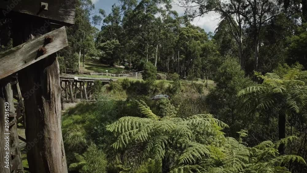Flying through the Puffing Billy Trestle Bridge in Melbourne Australia Flying through the Puffing Billy Trestle Bridge in Melbourne Australia