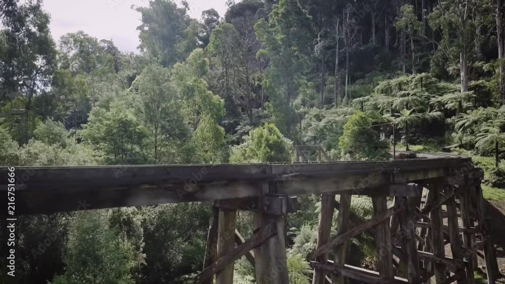 Rising above the Puffing Billy Trestle Bridge in Melbourne Australia Rising above the Puffing Billy Trestle Bridge in Melbourne Australia