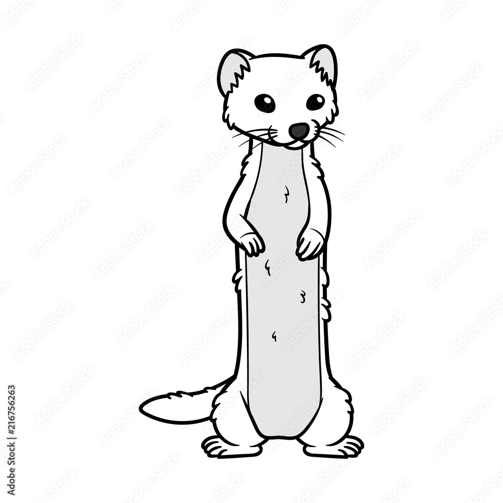 Black and hotsell white mongoose