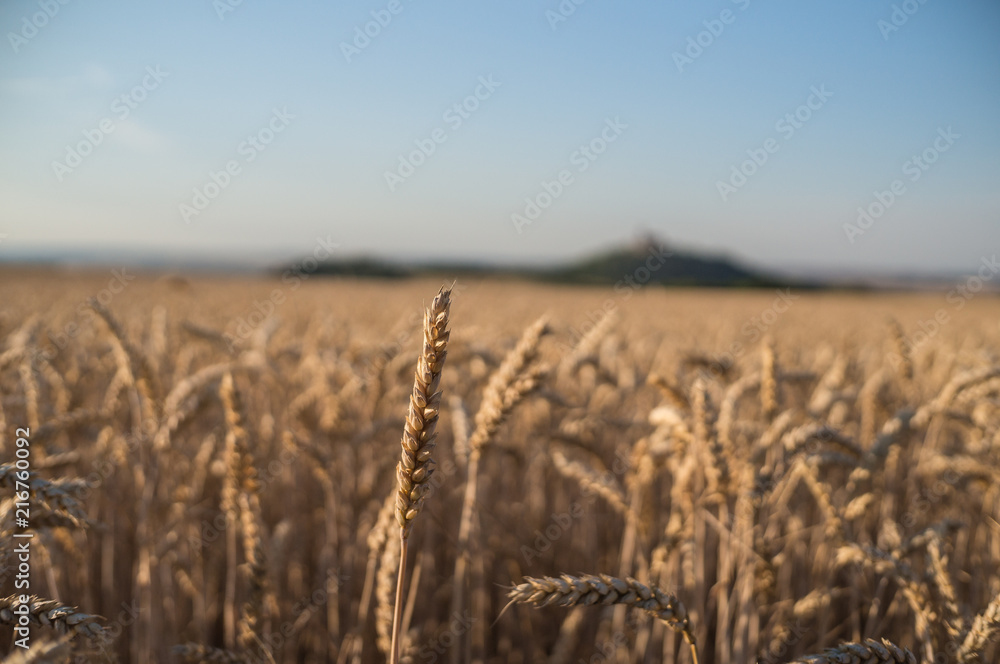 Landschaft im Sommer Landschaft im Sommer