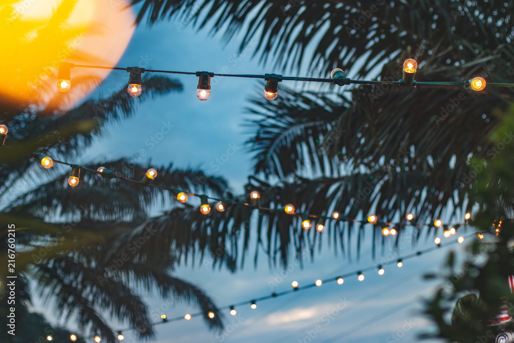 blurred light bokeh with coconut palm tree background on sunset