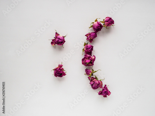 dry roses on white background