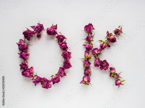 dry roses on white background
