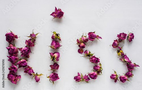 dry roses on white background
