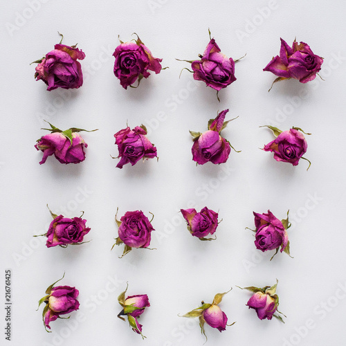 dry roses on white background