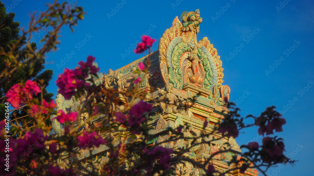 Obraz premium Hindu Temple