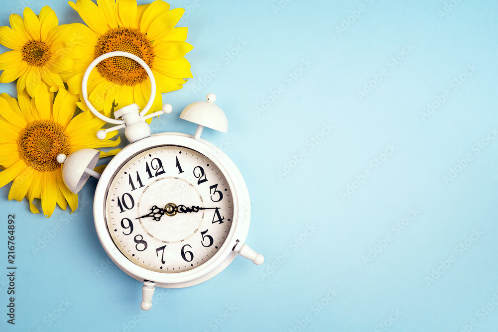 Obraz premium White alarm clock and yellow sunflowers on blue background.