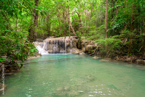 Water fall wildlife Kanchanaburi Thailand