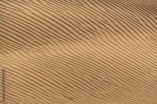 Beautiful sand dune in Thar desert, Jaisalmer, Rajasthan, India.