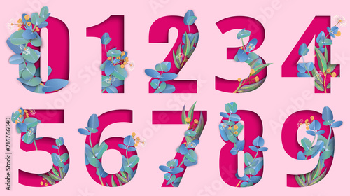 Pink carved paper isolated numeral signs with eucalyptus.