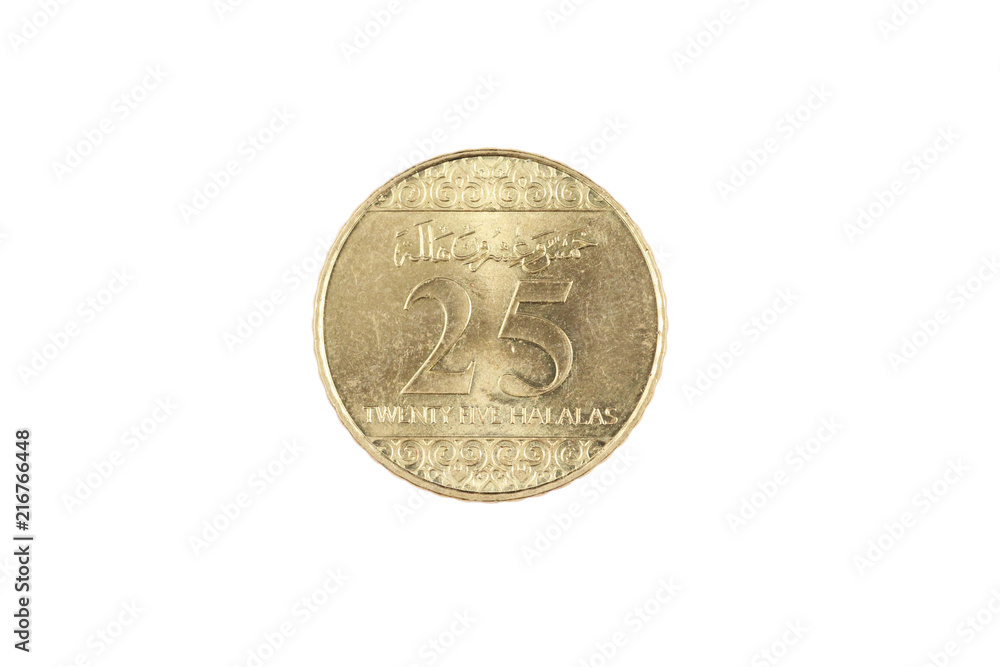 A super macro image of a Saudi Arabian 25 halalas coin isolated on a white background A super macro image of a Saudi Arabian 25 halalas coin isolated on a white background