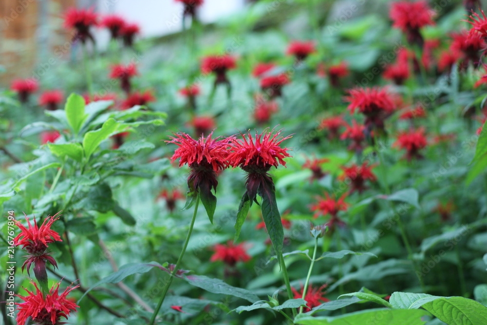 寄り添う