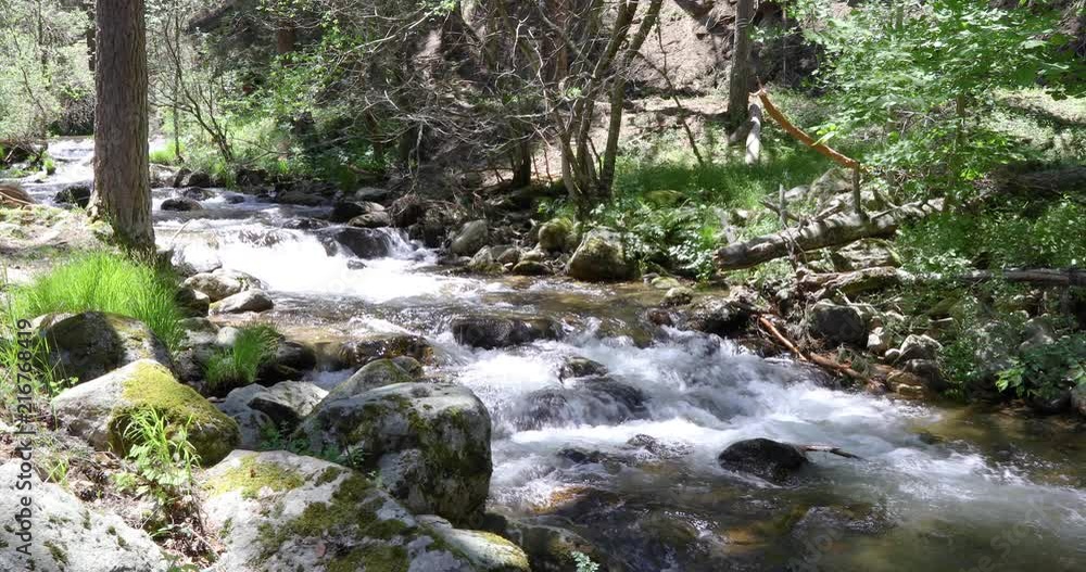 river water full of rocks and stones in forest of pine trees in Guadarrama mountains, near Madrid, Spain, Europe
river water full of rocks and stones in forest of pine trees in Guadarrama mountains, near Madrid, Spain, Europe