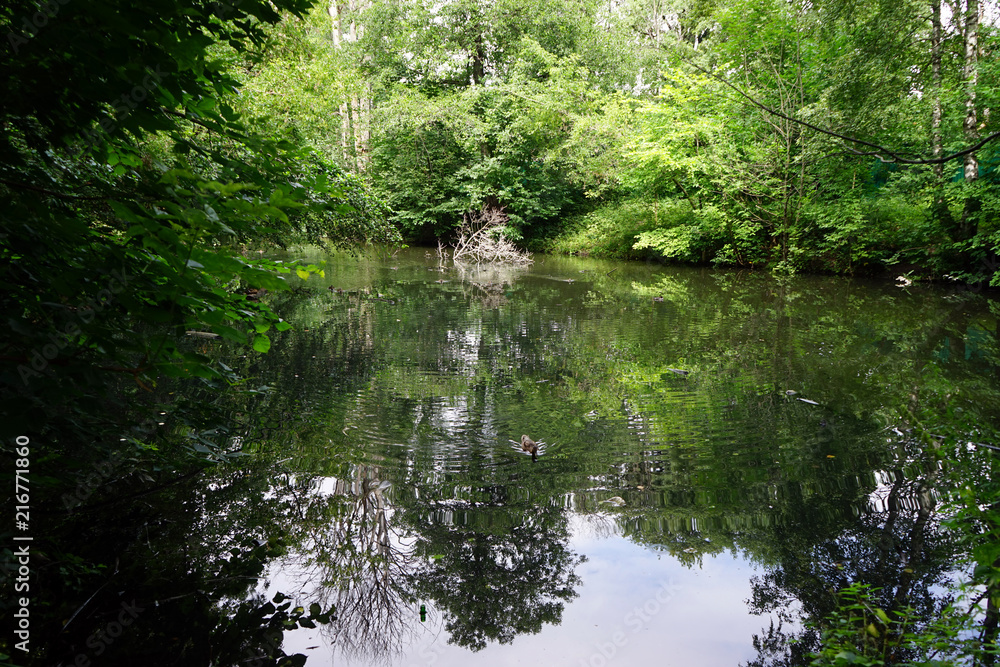 Lake in park Lake in park