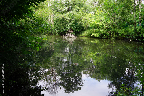 Lake in park