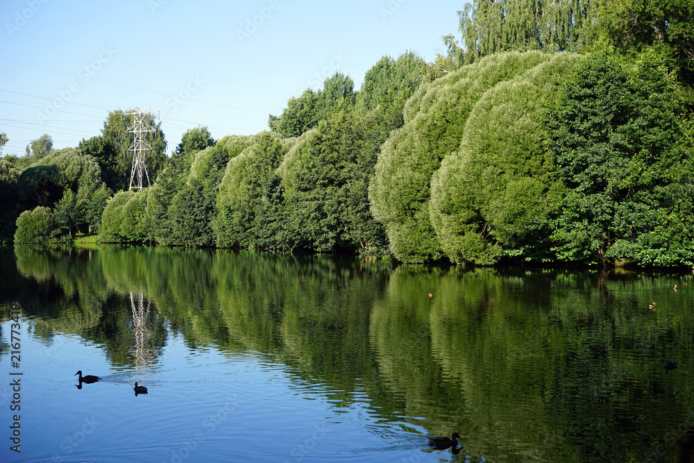 Fototapeta premium Pond in park