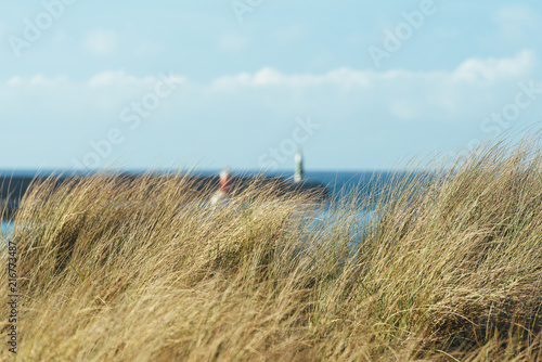 Grass near a beach on the north of Spain. Lighthouses on the background