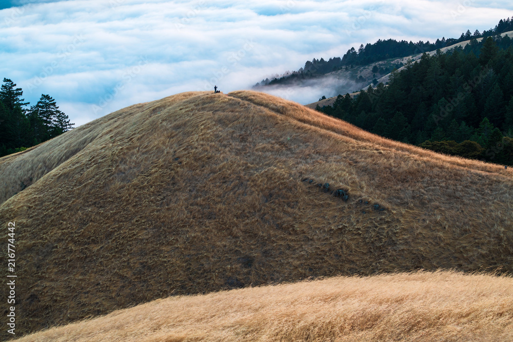 Naklejka premium Above the Clouds and Fog