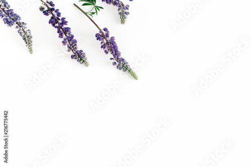 Pattern flowers purple wildflowers white background top view copy space