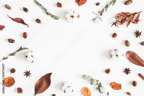Autumn composition. Frame made of eucalyptus branches, cotton flowers, dried leaves on white background. Autumn, fall concept. Flat lay, top view, copy space