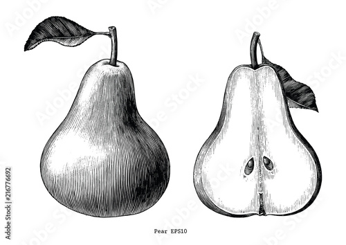 Pear fruit hand draw vintage clip art isolated on white background