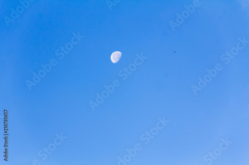 Obraz na płótnie Clear cloudless sky and visible moon w salonie