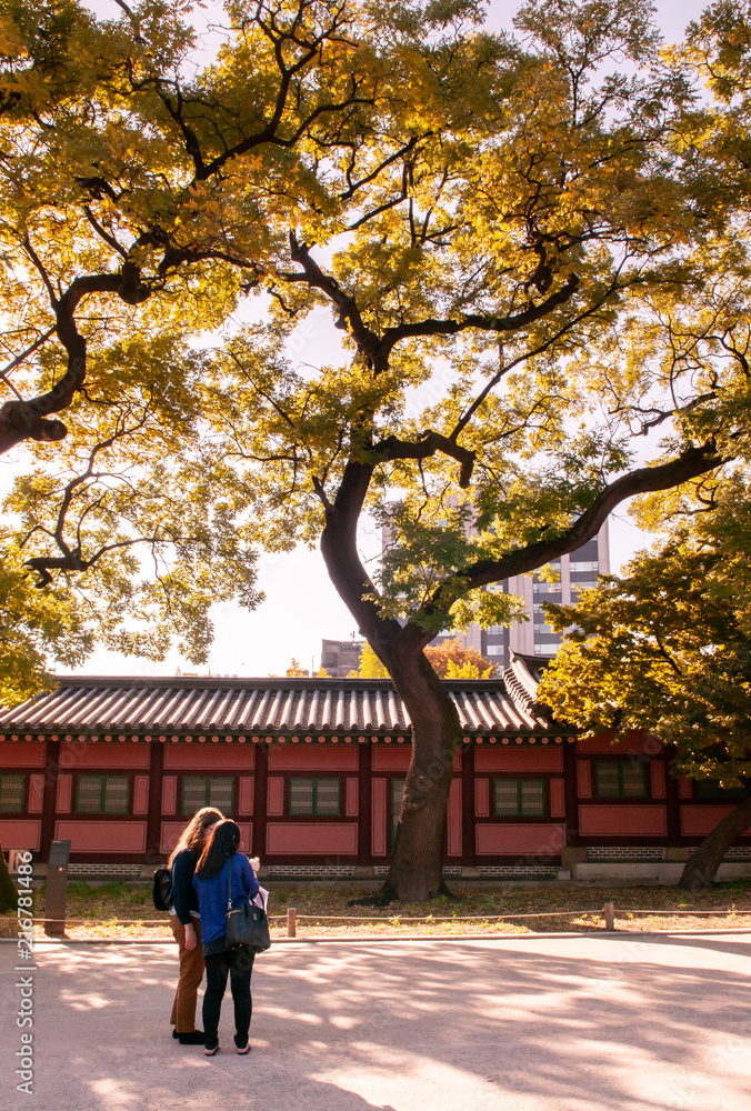 Red wall of Changdeokgung Palace, Seoul, South Korea