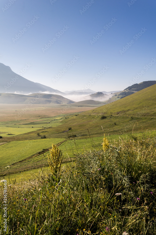 View of Castelluccio di Norcia (Umbria) at dawn, with mist, big meadows and totally empty blue sky