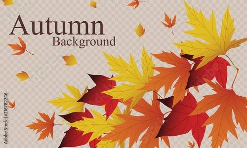 Vector background with red  orange  brown and yellow falling autumn leaves. Templates for posters  banners  flyers  presentations  reports. Autumn leaves. Autumn design.