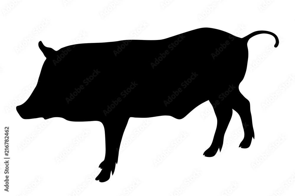 Fototapeta premium wild boar black silhouette on white background of vector illustration