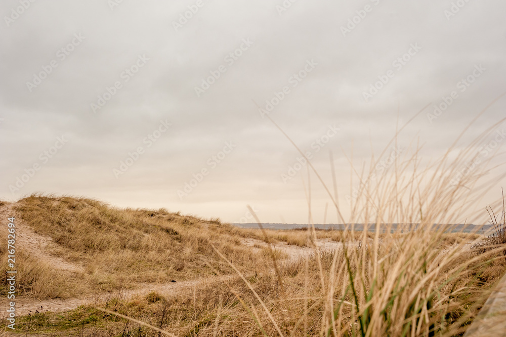 Obraz premium Grassy Sand Beach In Cloudy Winter Storm