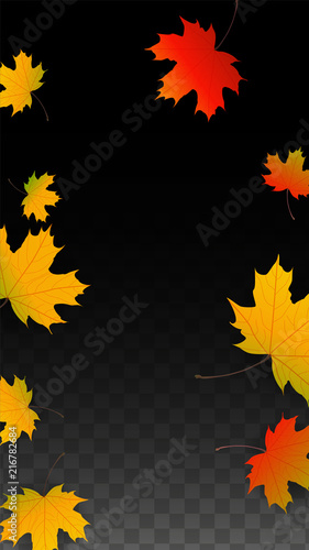 September Vector Background with Golden Falling Leaves. Autumn Illustration with Maple Red, Orange, Yellow Foliage. Isolated Leaf on Transparent Background. Bright Swirl. Suitable for Posters.