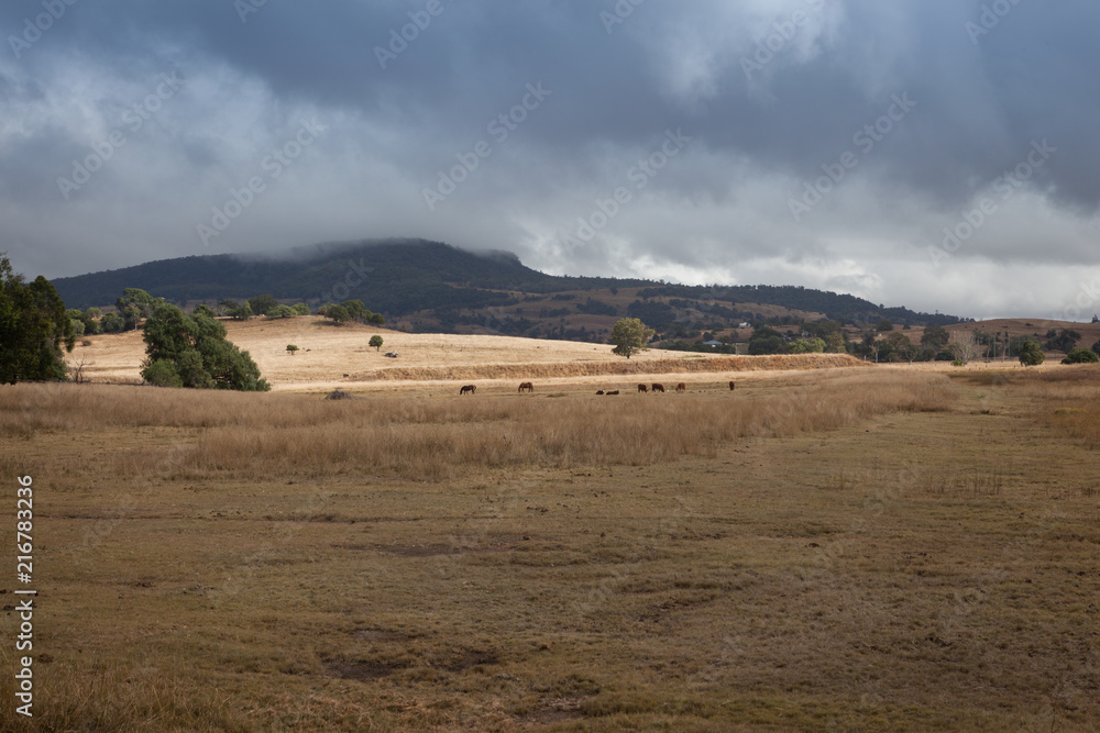 The last patch of sunlight highlighting grazing horses fades as dark storm clouds approach and promise the dry ground some rain. The last patch of sunlight highlighting grazing horses fades as dark storm clouds approach and promise the dry ground some rain.