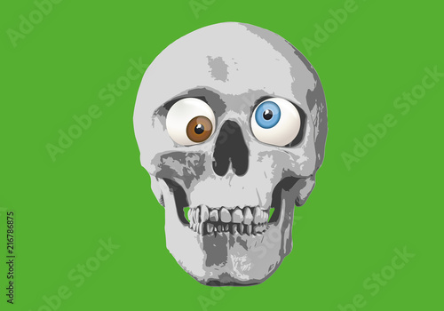 tête de mort - humour - regard - expression - yeux - crâne - humoristique - folie - fou - regarder