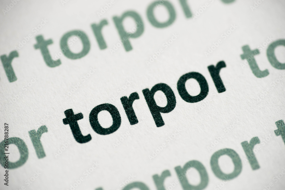 Obraz premium word torpor printed on paper macro