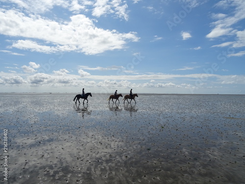 Fototapeta Naklejka Na Ścianę i Meble -  Wattreiter