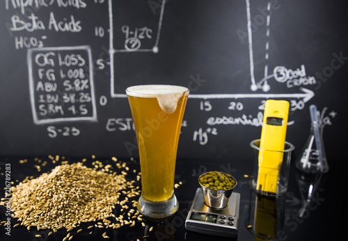 Valokuvatapetti Beer Science ! Black Board with Graph, Data and Specs, Hops, Grains and Tools Ab