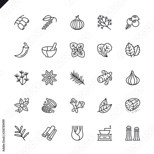 Thin line spices, condiments and herbs icons set for website and mobile site and apps. Outline icons design. 48x48 Pixel Perfect. Linear pictogram pack. Vector illustration.