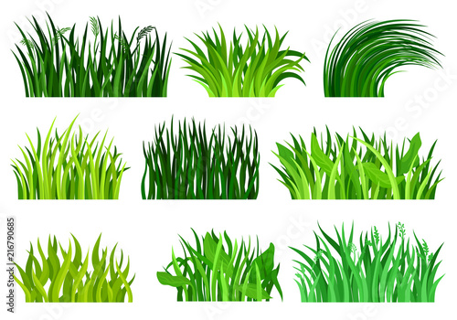 Flat vector set of different decorative grass borders. Bright green wild herb. Nature and botany theme. Natural landscape elements
