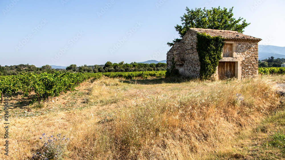 Cabanon traditionnel dans les vignes Cabanon traditionnel dans les vignes