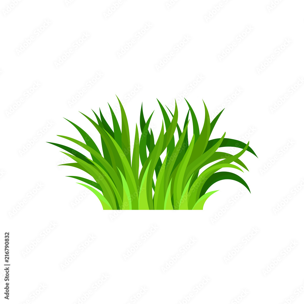 Bundle of fresh green grass. Nature and gardening theme. Bright herbal border. Flat vector design Bundle of fresh green grass. Nature and gardening theme. Bright herbal border. Flat vector design