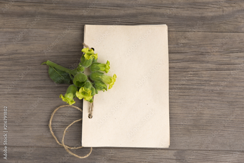 Tobacco flower with handmade craft notebook on old grunge wooden background. Top view. Minimalistic mockup. Tobacco flower with handmade craft notebook on old grunge wooden background. Top view. Minimalistic mockup.