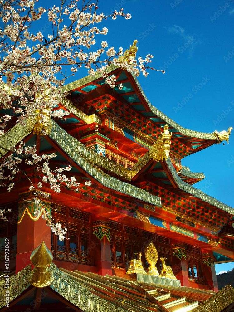 tibetan monastery in shangri la  ,Yunnan ,china	