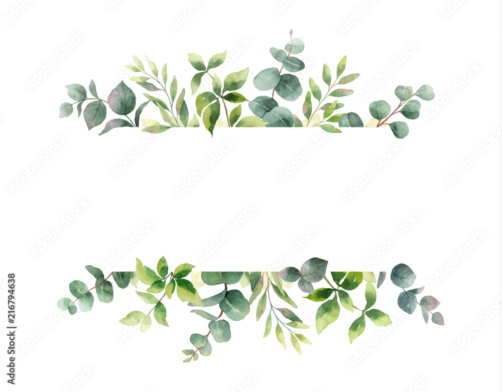 Naklejka Akwareli wektorowa ręka maluje horyzontalnego sztandar z zielonymi liśćmi i gałąź.