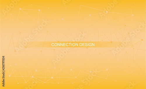 Connessioni web 