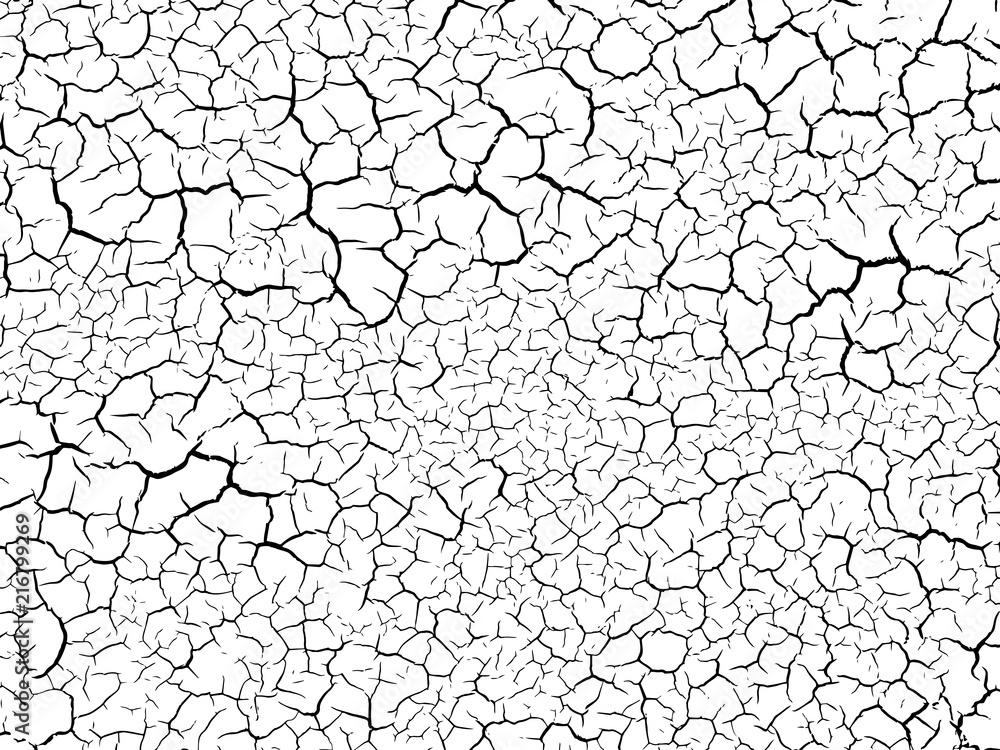 The cracks texture white and black. Vector background.Cracked earth. Structure of cracking. Cracks in dry surface soil texture. The cracks texture white and black. Vector background.Cracked earth. Structure of cracking. Cracks in dry surface soil texture.