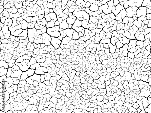 The cracks texture white and black. Vector background.Cracked earth. Structure of cracking. Cracks in dry surface soil texture.