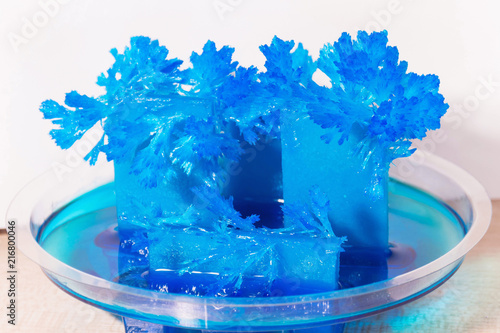 Radiant crystals grown at home. Chemical experience for children.