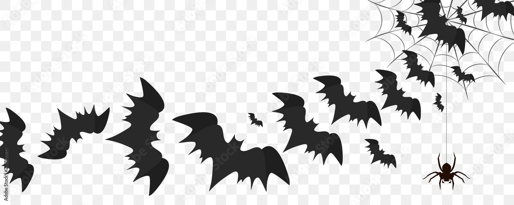 Halloween Bat and Spiders transparent PNG - StickPNG